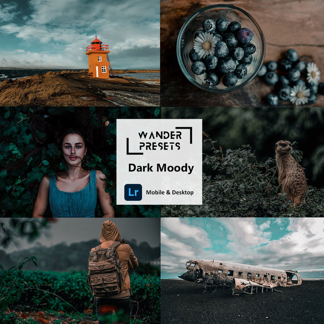 Dark Moody Preset Collection